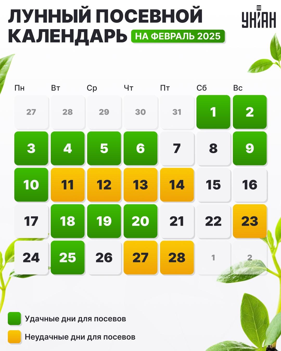 Såkalender for febr 2025 tabel / billede Vi