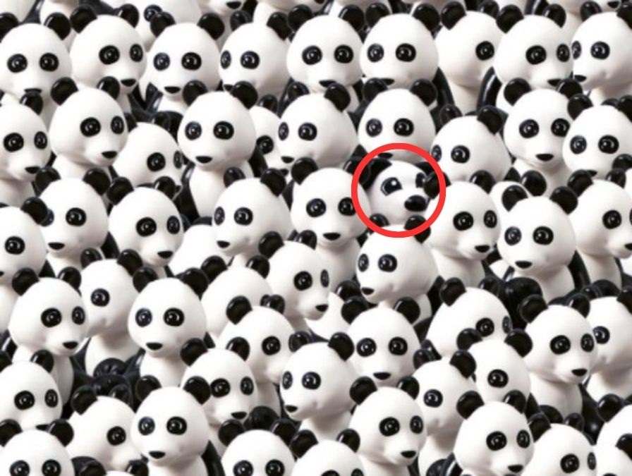 Optisk illusion for genier: Kun folk med høj IQ kan finde en hund blandt pandaer